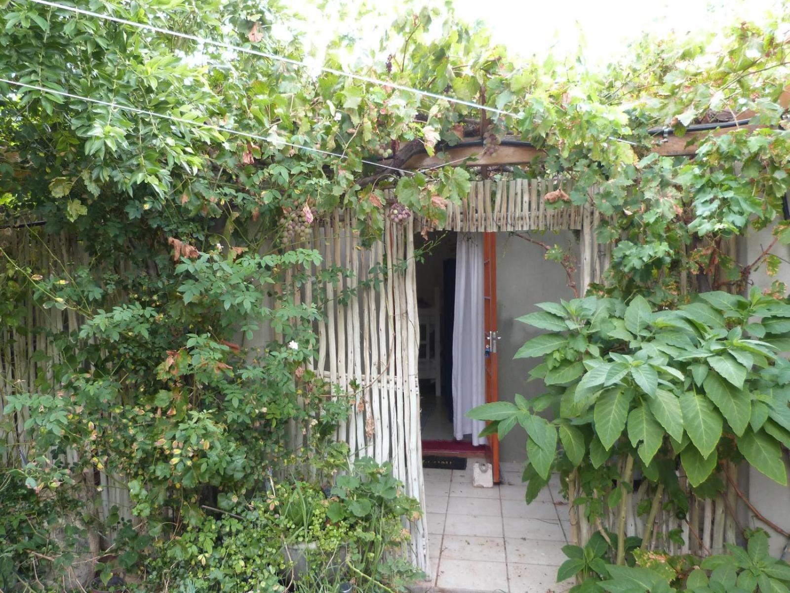 Appartamento Hannah'S Haven Studio Deluxe - No Loadshedding Beaufort West Esterno foto